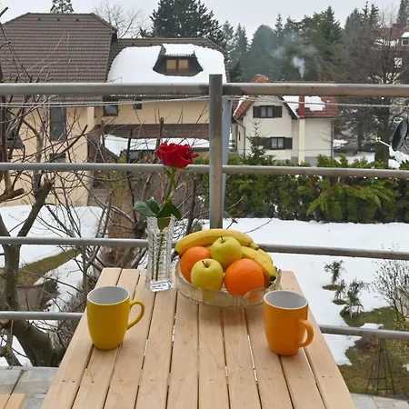 Ristivojevic Zlatibor Apartman
