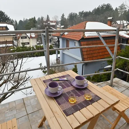Ristivojevic Zlatibor * Palisat